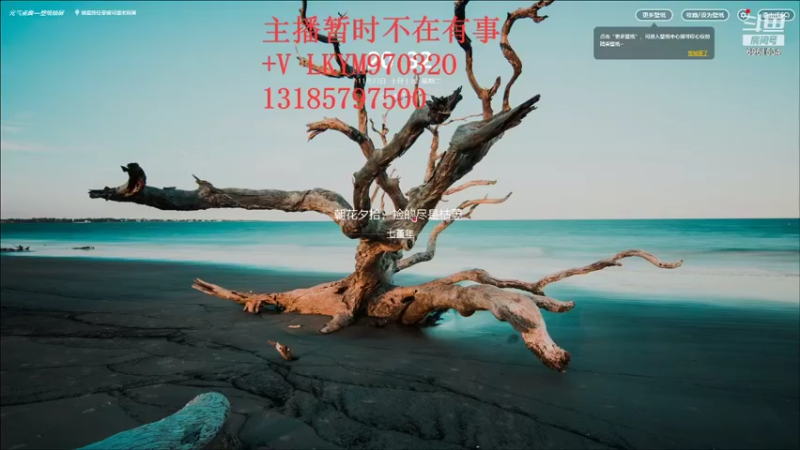 【2021-11-23 20点场】小鬼酱ovo：小鬼：第二批水淹剧本开荒