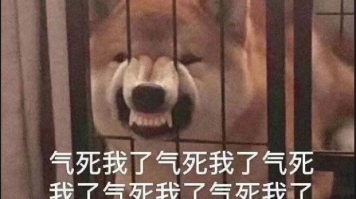 你说我菜吧也是菜