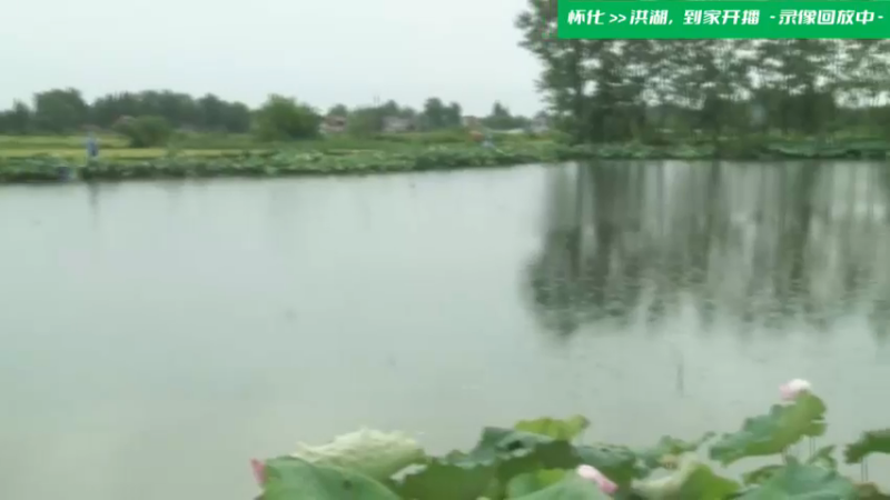 【2021-11-25 16点场】洪湖小肖：湘西 · 今天返程