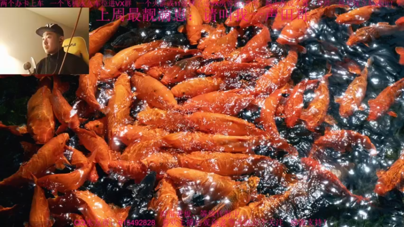 【2021-11-24 12点场】主播世贤：最强画质，极致体验