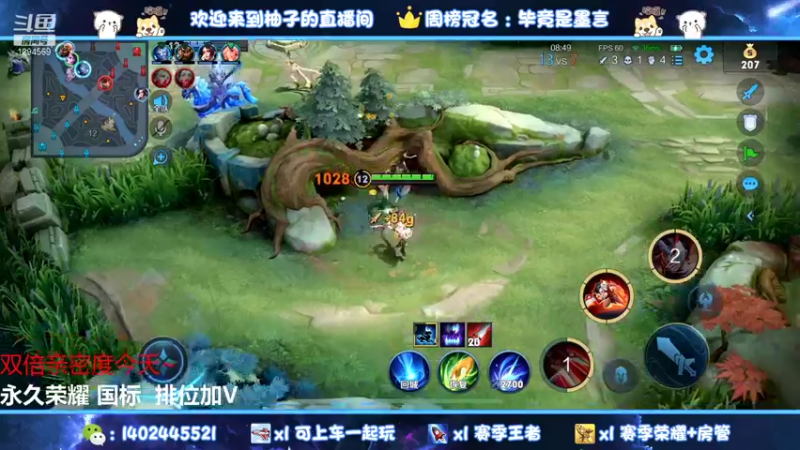 【2021-11-25 02点场】毕竟是柚子：荣耀61星单排国服阿珂