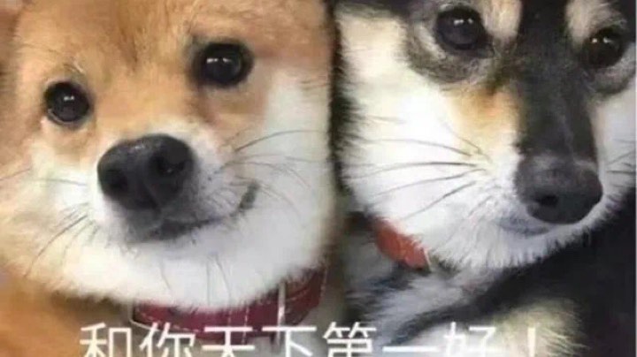 瞎唱