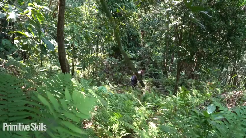 2KD37动力发电20山野基地】《如果你一无所有 进入单人我的世界，自由荒野 离网乐园 全手工制作耕种 快乐野外生活》《如果你一无所有，进入荒野...》