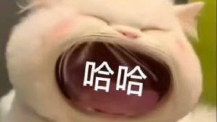 拦个男的折磨2