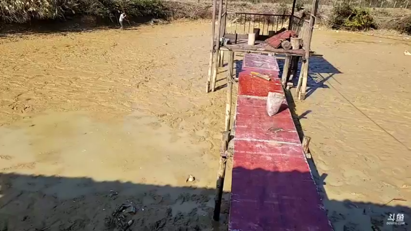 【2021-11-26 12点场】魅力生活i：今天修整凉亭