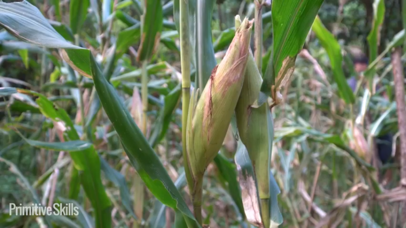 2KD38自来水系统19山野基地】《如果你一无所有 进入单人我的世界，自由荒野 离网乐园 全手工制作耕种 快乐野外生活》《如果你一无所有，进入荒野...》