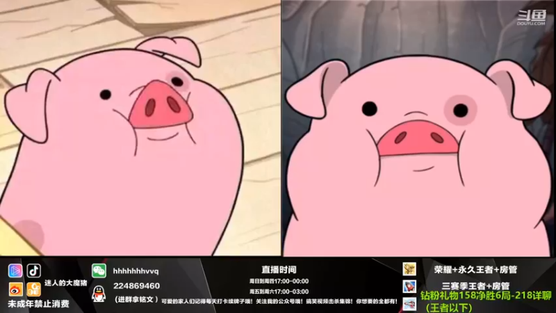 【2021-11-24 19点场】迷人的大魔猪：国服干将守约 wx带粉上分 体验感十足