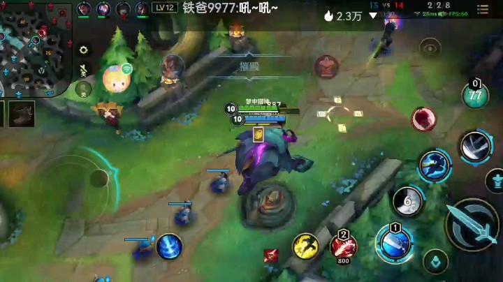 辅助质疑亚索打野摆烂，极速操作，斩获四杀，折服辅助