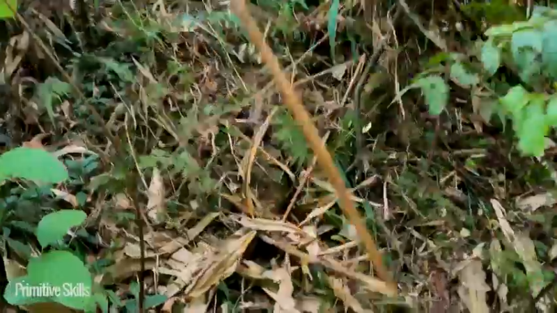 2KD40竹筏旅游25山野基地】《如果你一无所有 进入单人我的世界，自由荒野 离网乐园 全手工制作耕种 快乐野外生活》《如果你一无所有，进入荒野...》