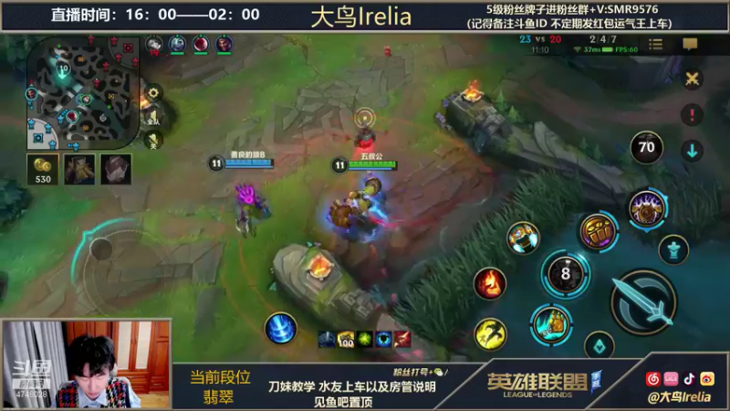 【2021-11-25 19点场】大鸟Irelia：最强刀妹：全网最快最秀