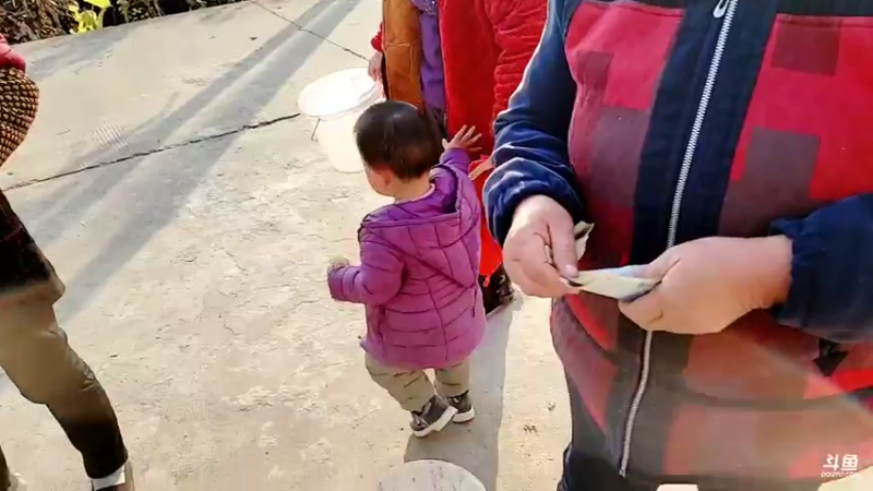 【2021-11-26 15点场】洪湖小肖：收鸡蛋 · 奖励给日榜前50名