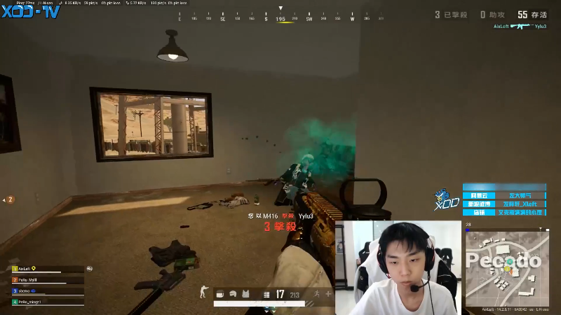 我在斗鱼看Xleft小叮当直播吃鸡游戏