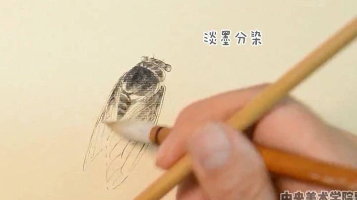 中央美术学院贾国强 工笔“蝉”的示范