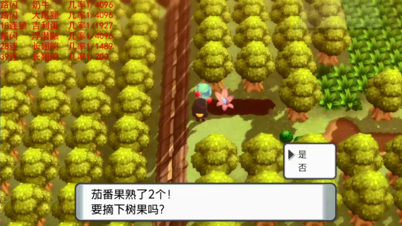 【2021-11-27 18点场】主播杨树：科学抓闪方法 无敌