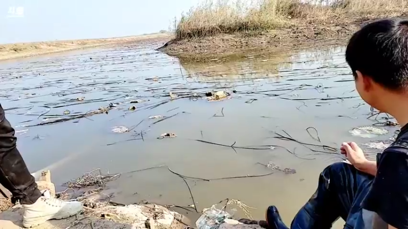 【2021-11-27 14点场】洪湖小肖：大型野坑抽水中