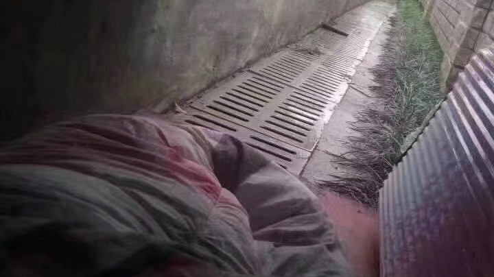 单排上分