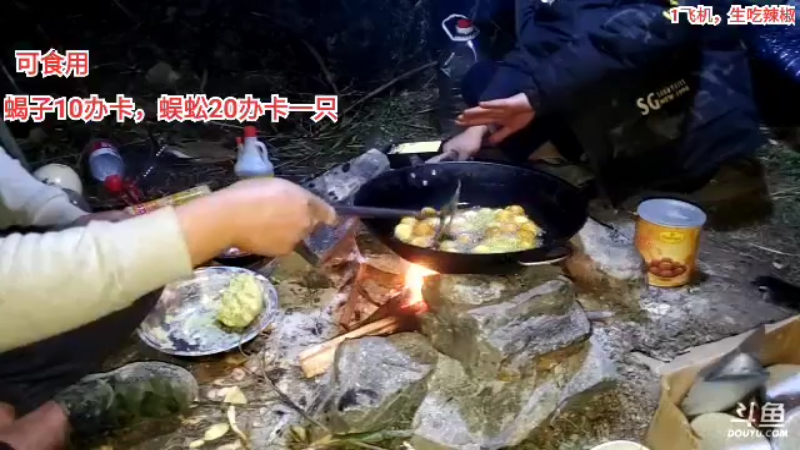 【2021-11-26 21点场】3人行必有我食：阳光明媚，绝不撤退