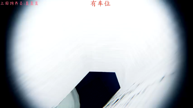 【2021-11-23 17点场】七潇丷：惊悚鬼屋，恐怖游戏！！！ 4533682