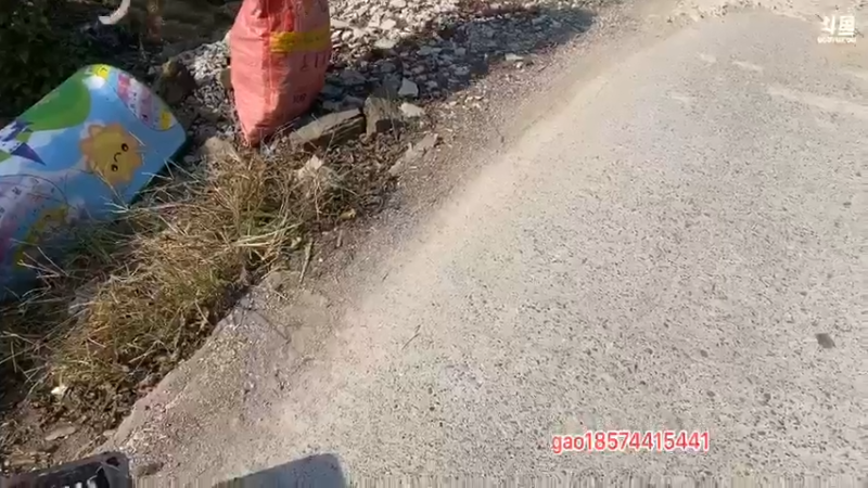 【2021-11-27 11点场】魅力生活i：户外溶洞生活开始啦