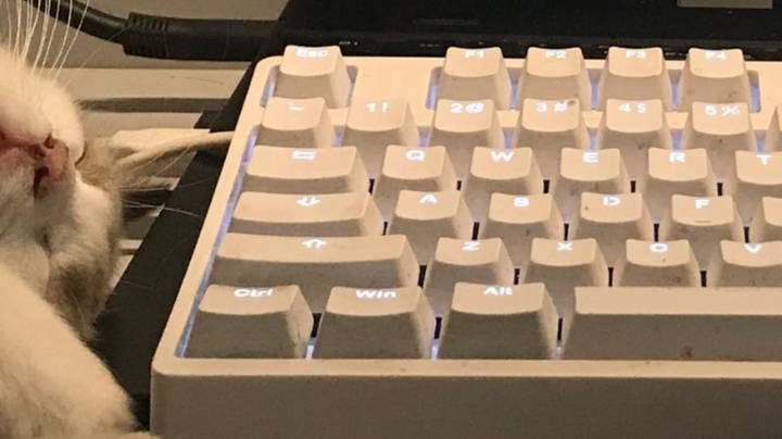 欢迎学弟学妹们报考天津商业大学