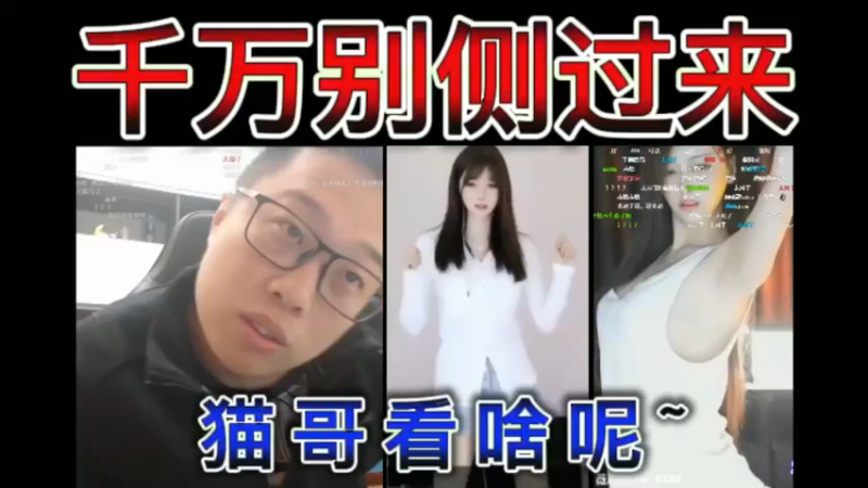 猫哥看啥呢，薇薇，千万别侧过来