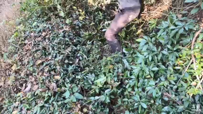 【2021-11-27 15点场】魅力生活i：户外溶洞生活开始啦