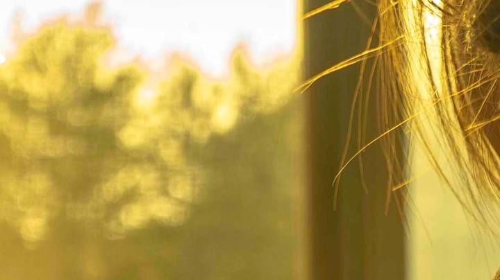 《入海》 天津商业大学