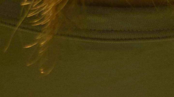 天津商业大学招生简章