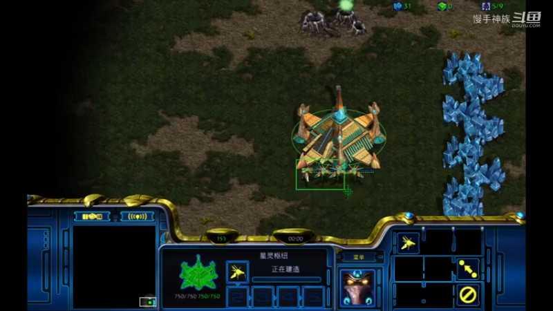 星际争霸 pvp斗魂 12-12