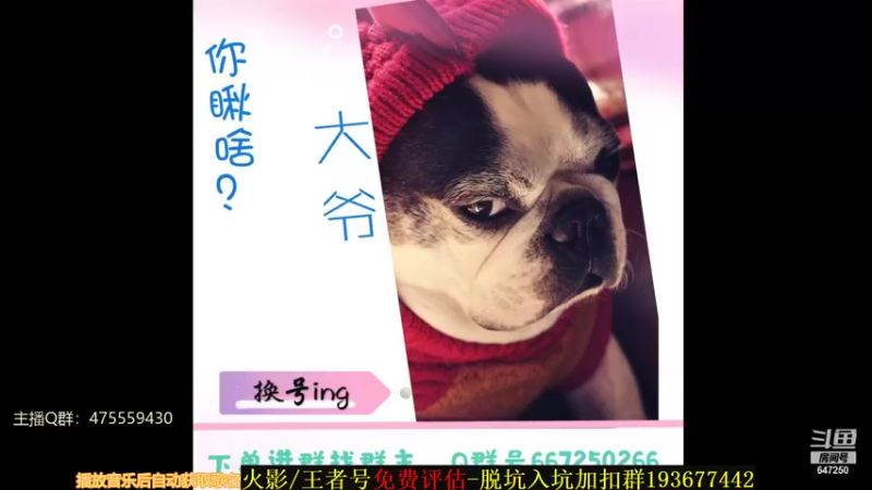 【2021-11-27 21点场】小马锅马杰：第一届斗鱼木叶趣味车轮战day2