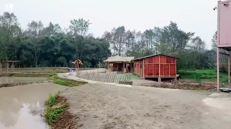 【2021-11-28 14点场】逐梦兄弟：孤牙的一天