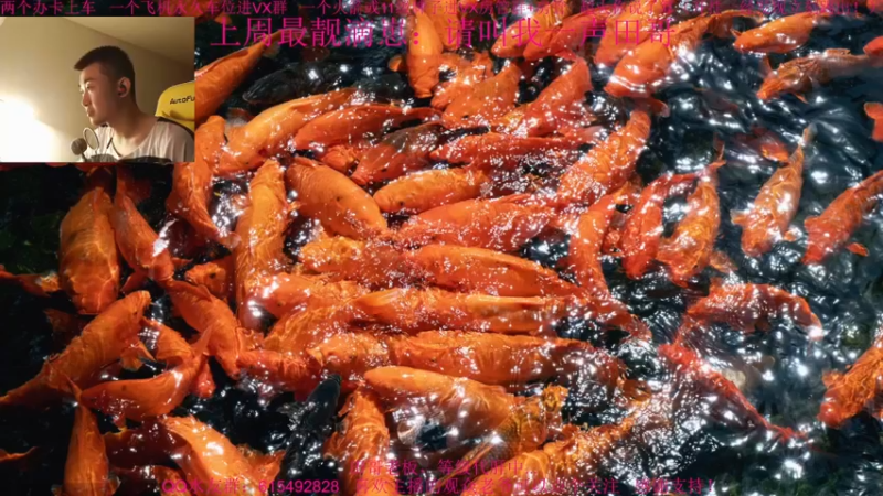 【2021-11-27 21点场】主播世贤：最强画质，极致体验