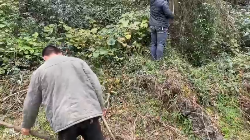 【2021-11-28 16点场】魅力生活i：户外溶洞生活第二天