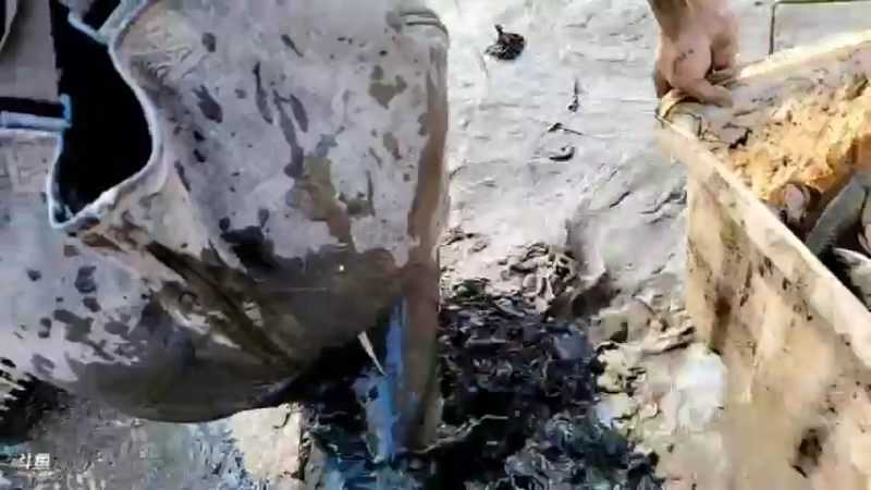 【2021-11-28 14点场】洪湖小肖：大型野坑抽水中