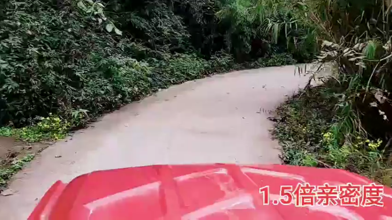 【2021-11-28 13点场】川味箩卜：干塘干塘干塘