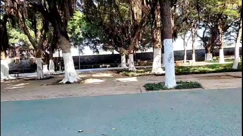 【2021-11-28 13点场】主播阿郎：《旅途》赣州  第三天
