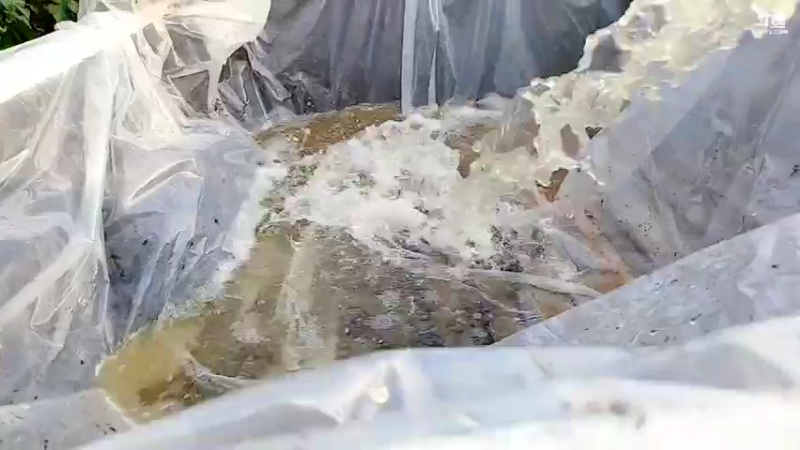 【2021-11-28 16点场】洪湖小肖：大型野坑抽水中