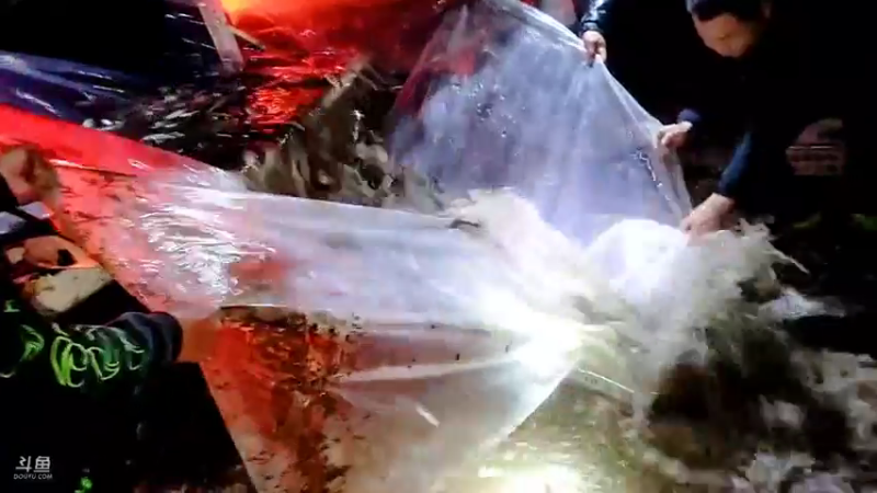 【2021-11-28 20点场】洪湖小肖：大型野坑抽水中