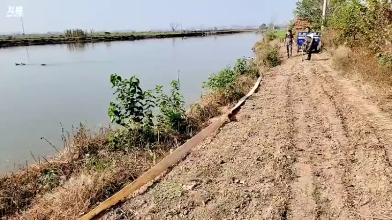 【2021-11-28 12点场】洪湖小肖：大型野坑抽水中