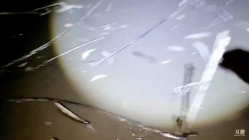 【2021-11-28 18点场】洪湖小肖：大型野坑抽水中