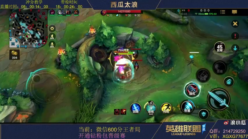 【2021-11-29 00点场】西瓜太浪xx：【楚青】国服第一盲僧带粉打野细节教学