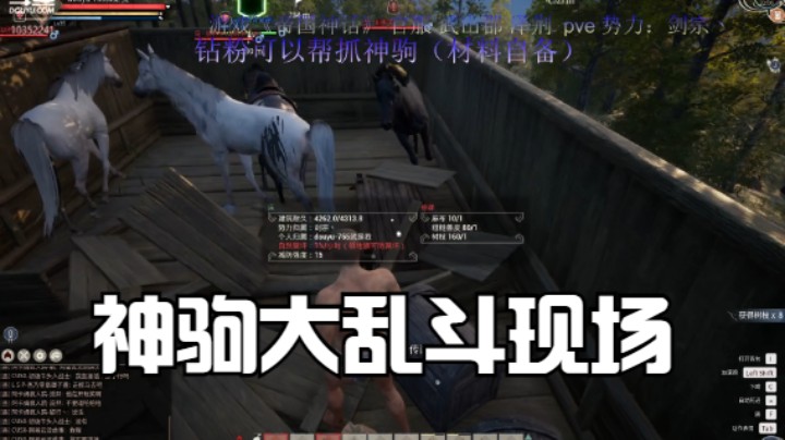 神驹斗地主(附带新手搭建抓马房讲解)