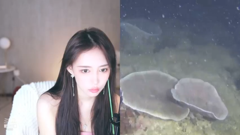 王雨檬_2021_11_06热舞时间_6_6_JhE8