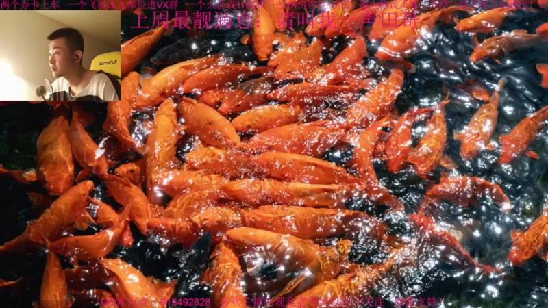 【2021-11-28 15点场】主播世贤：最强画质，极致体验