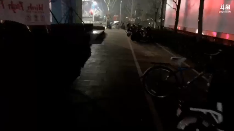 【2021-11-29 01点场】伯伯儿来了：夜间散步。