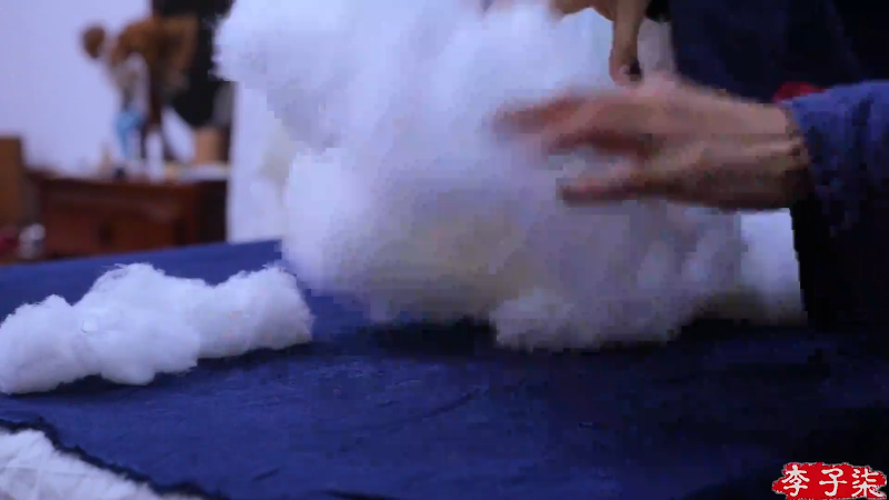 【美食】李子柒liziqi的精彩时刻 20211129 19点场