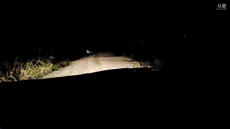 【2021-11-29 20点场】洪湖小肖：大型野坑抽水中