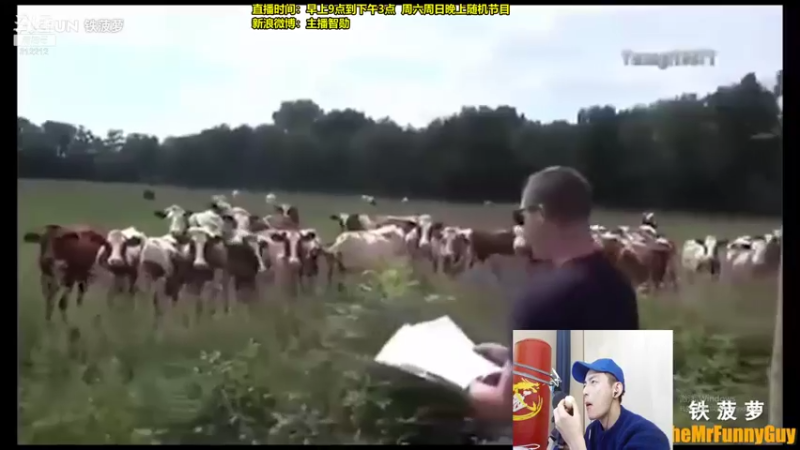 【2021-11-29 12点场】智勋勋勋勋：智勋：先攻流男刀打野教学！