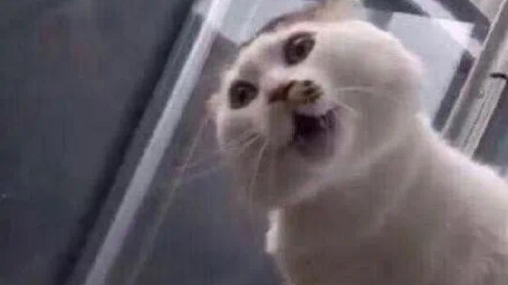 探索酒馆副本