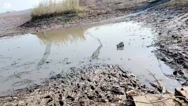 【2021-11-29 12点场】洪湖小肖：大型野坑抽水中